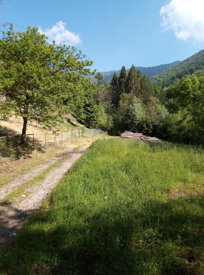 Grigioperla Apartman Tavernerio Kültér fotó